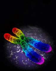 Photo:gay-gene By:The Guncle