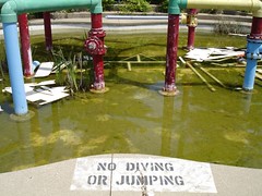 Never dive into the shallow end.