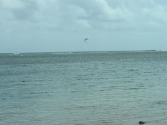kite surfer from 'anini beach