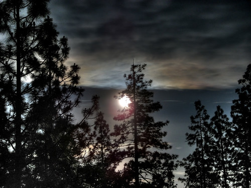 trees sky moon mist night clouds dark erie hdr
