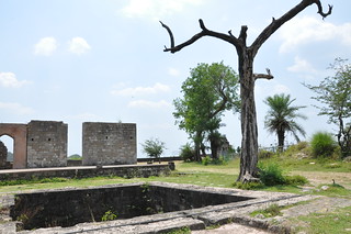 An open well amongst the palace ruins