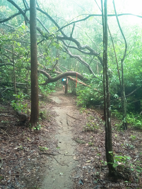 xlrider-the-columbia-trail-2015