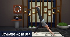 Yoga 3 Downward Facing Dog