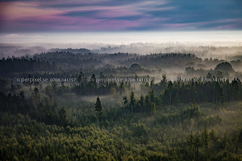 norrastångsmåla långasjö skog flygfoto dimma 3 kalmar sverige swe