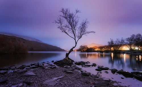 snowdonia mountain range llyn lake padarn wales uk tree water night sunrise slate purple landscape sky