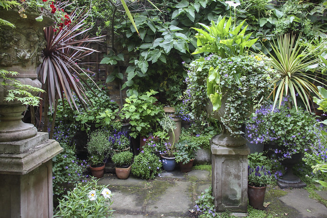 Spitalfields Gardens Group - garden4