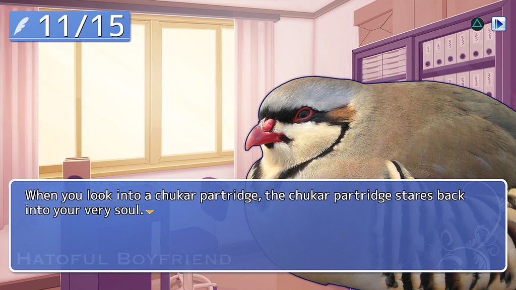 Hatoful Boyfriend Hatches on PS4, PS Vita July 21st with New Content –  PlayStation.Blog