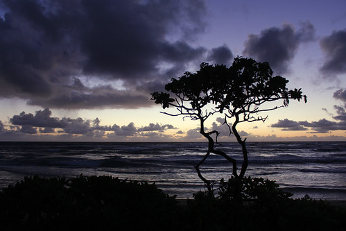 nukolii beach sunrise kauai september 2016 hawaii hi pacific ocean silhouette ハワイ 風景