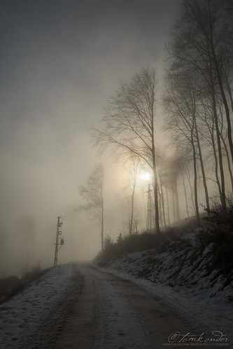 outdoor landscape winter fog snow forest wilderness wintertime atmosphere road treesdark mist misty hdr