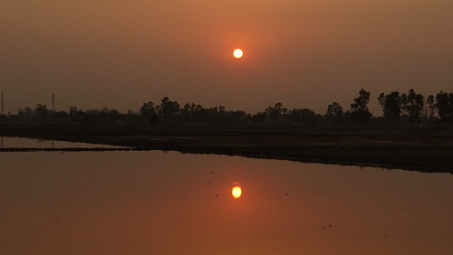 sunset red summer sky sun sunlight india reflection tree nature water beautiful silhouette mirror asia flickr colours rice farm indian sony farming fields punjab sonydschx400v ricktoor