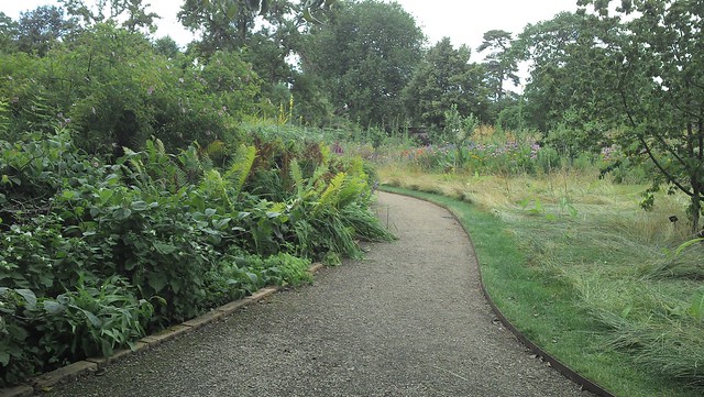 Wet border and dry border at Oxford Botanic Gardens