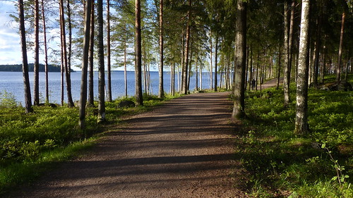 lake forest finland geotagged spring path may shore fin tampere 2015 näsijärvi pirkanmaa lentävänniemi 201505 20150523 geo:lat=6153117548 geo:lon=2372190713
