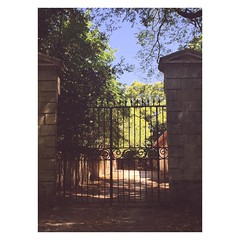 10.07.15 • allée de vieille demeure | ombre rafraîchissante | château Bordelais - Photo of Cabanac-et-Villagrains