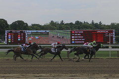Saratoga Racetrack