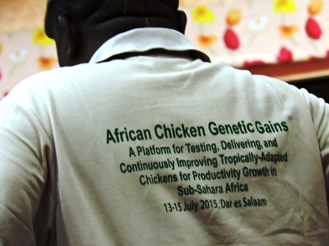 The ACGG project - the latest opportunity for comms (photo credit: ILRI/M. Becon)