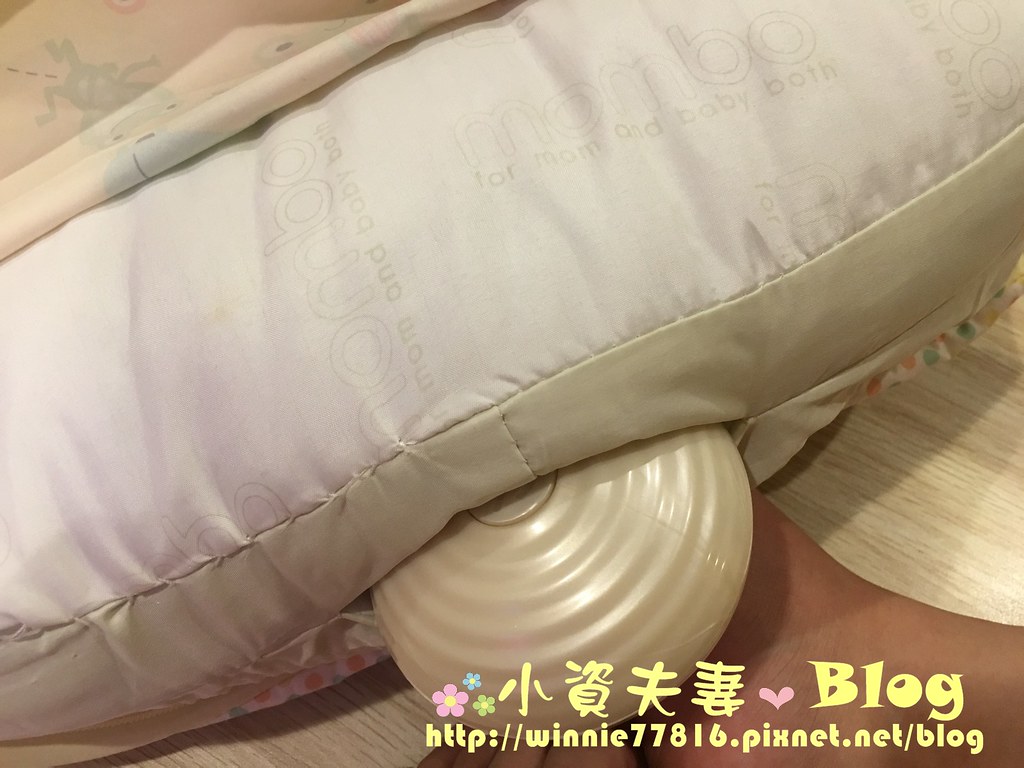 哺乳枕 (1)
