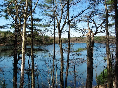 blue trees water ilovenature boat spring pond massachusetts bestviewedlarge concord waldenpond