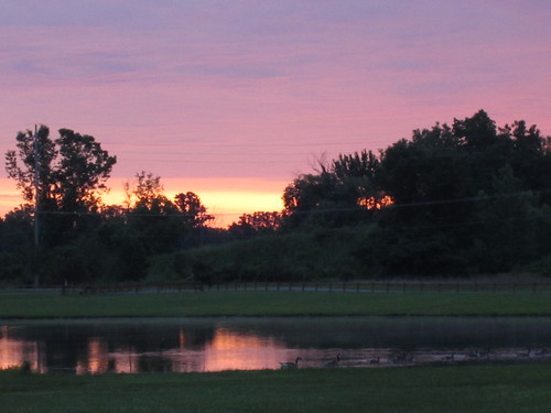 reflection sunrise dawn pond oberlin kendal img7744 elph300hs