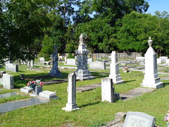 Pleasant Grove Primitive Baptist Church cemetery 4