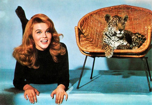 Ann Margret in Kitten with a Whip (1964)