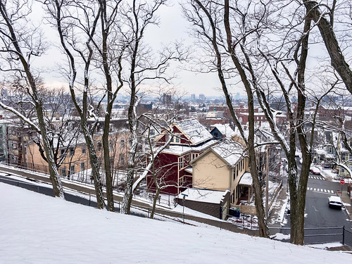somerville somervillema massachusetts newengland snow winter seasons seasonal season rooftops trees baretrees houses boston iphone iphone6s