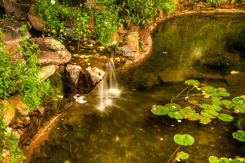 newmexico waterfall pond unitedstates landscaping taos nm lilypads hdr lightroom elprado 2015 nymphaeaceae 3xp photomatix tonemapped 2ev tthdr realistichdr detailsenhancer geo:country=unitedstates camera:make=canon exif:make=canon geo:state=newmexico camera:model=canoneos7d exif:model=canoneos7d exif:focallength=24mm exif:aperture=ƒ16 exif:isospeed=100 copyright©2015ianaberle exif:lens=efs24mmf28stm farmhousecafebakery farmhousecafeandbakery farmhousecaféandbakery geo:lat=36441388333333 geo:city=elprado geo:lon=10557833333333 geo:location=1405paseodelpueblonorte