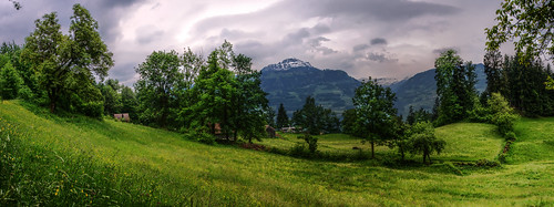 panorama mountains alps schweiz switzerland view suisse meadow ostschweiz berge svizzera rheintal rhinevalley walenstadt berschis
