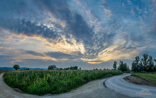 road sunset sky field clouds corn croatia hrvatska cesta nebo polje zalazak samobor oblaci kukuruz milanz81 savršćak
