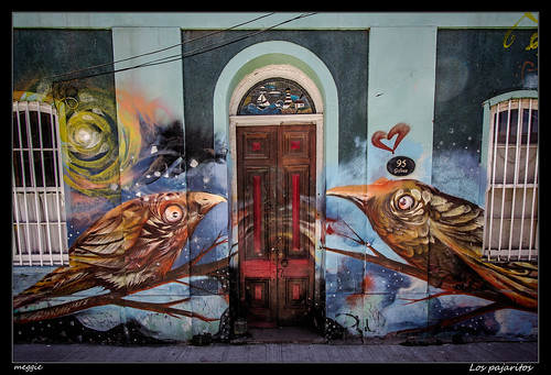 chile valparaíso graffiti pajaritos pájaros birds uccelli door puerta porta streetphotography urbanlandscape fotografíaurbana color ventanas finestre windows