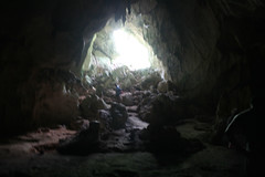 37 - Los Haitises national park - Cueva de la linea / Los Haitises Nationalpark - Cueva de la linea