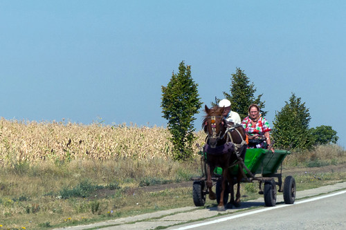 horse geotagged carriage cart moldova mda peaceonearthorg glinjeni soldanesti geo:lat=4761309667 geo:lon=2789585000