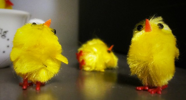 Chicks, man!!