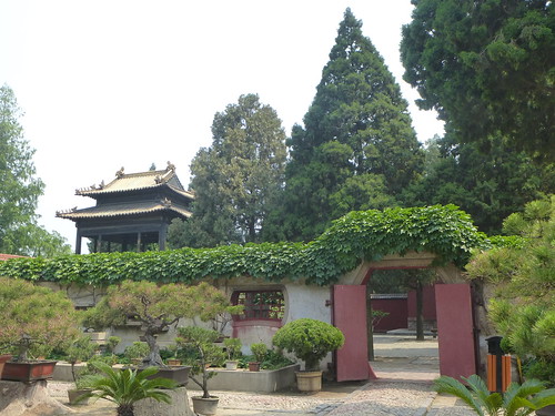 CH-Taian-Temple Dai (12)