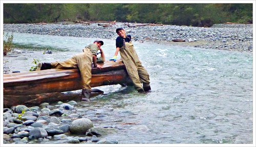 people work river fishing posing sep