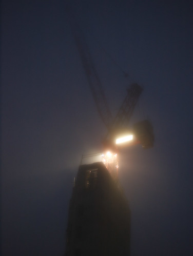 Crane in Fog