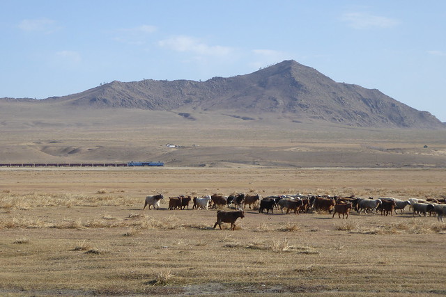 Mongolian Nature