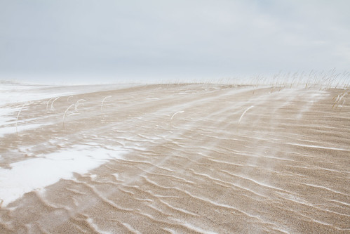 ©alexanderalechits canoneos7d canonef1635mmf4lisusm travelphotography sakhalin nature winter wind sand coast сахалин зима побережье ветер снег песок