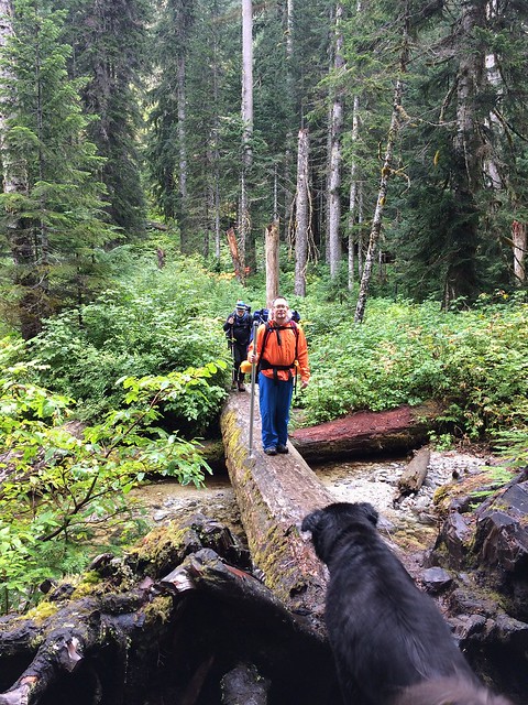 log crossing with dog lookout