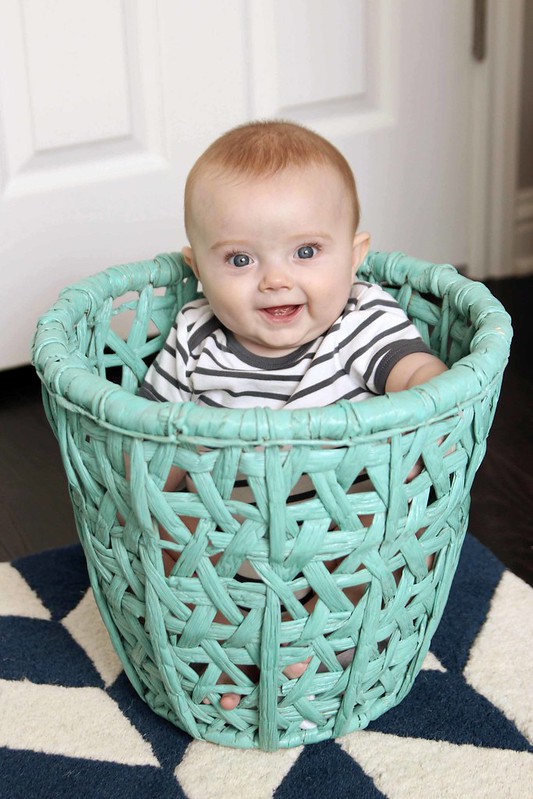 Basket boy