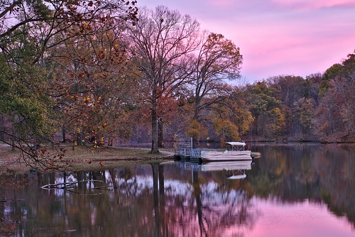 park trees lake fall water forest reflections boat dock poplar outdoor tennessee serene meemanshelby
