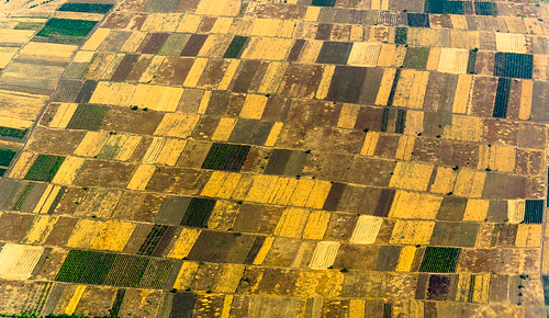 field geotagged view aerial sunflower moldova mda braila peaceonearthorg brăila munchisinau geo:lat=4692544367 geo:lon=2884084033