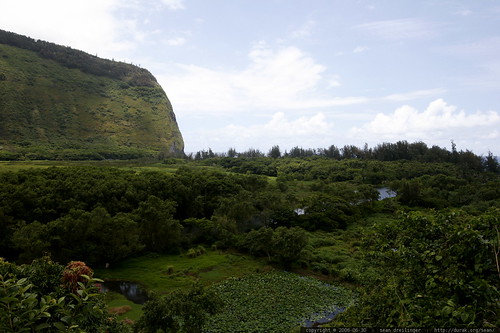 waipio, waipio valley, view, hawaii, hawaii… _MG_6263