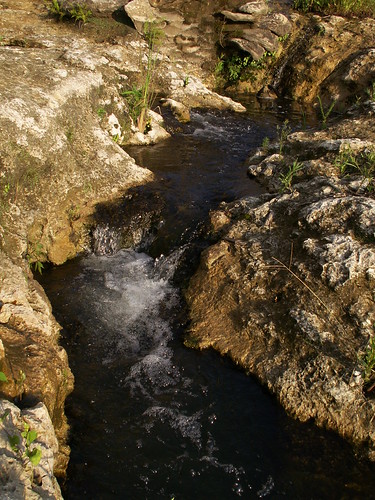 nature georgia minolta dam fave albany konica dimage flintriver hydroelectric slickr z6 southwestgeorgia