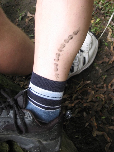 Heather’s bike chain tattoo | Really just some neatly applie… | Flickr