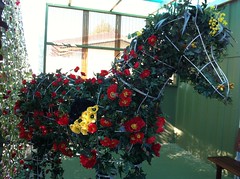 Poppy Horse at Special 100th Anniversary ANZAC Exhibit