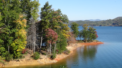 chfstew tennessee tncartercounty landscape lake