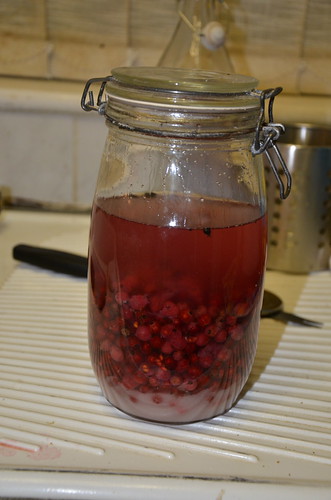 redcurrant gin Aug 15