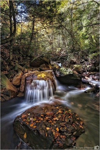 park autumn fall nature water leaves canon october stream state hiking pennsylvania environment gorge cascade lehigh 2015 carboncounty lehighgorgestatepark canon6d teamcanon tomwildoner