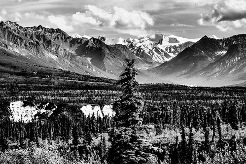 park trip trees bw snow mountains ice nature alaska clouds nationalpark view unitedstates wildlife ak glacier valley 2014 glacierview