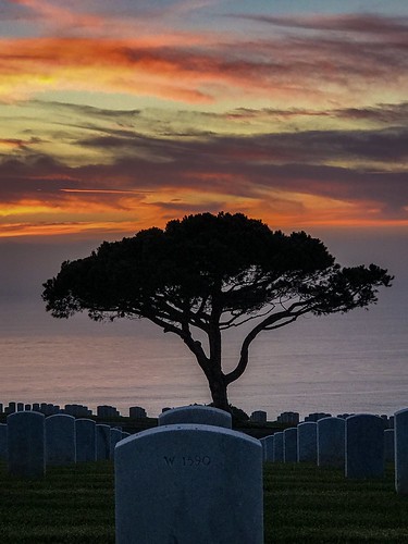 lightroommobile fortrosecransnationalcemetery sunset sandiego coast pacificocean cemetery evening clouds pink tombstones headstones grass green trees peaceful solemn sentinel